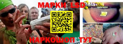 ешки Сланцы
